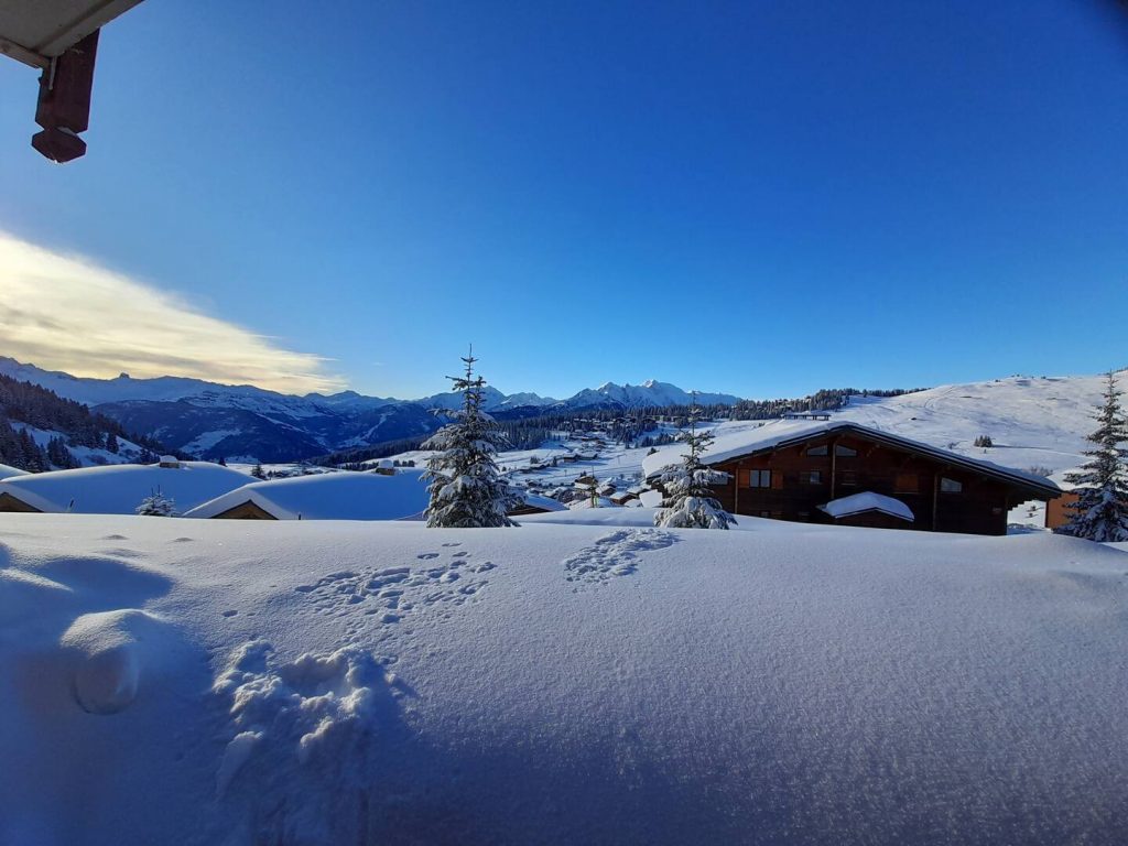 Chalet Les Pinots - Les Saisies - Vue